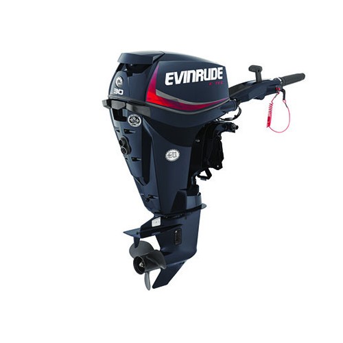 2015-EVINRUDE-E30DPGL-E-TEC-OUTBOARD-MOTOR.jpg
