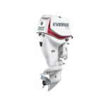 2016-EVINRUDE-E250DPX-E-TEC-OUTBOARD-MOTOR.jpg