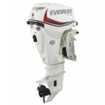 2017 Evinrude 25 HP E25DPSL E-Tec Outboard Motor