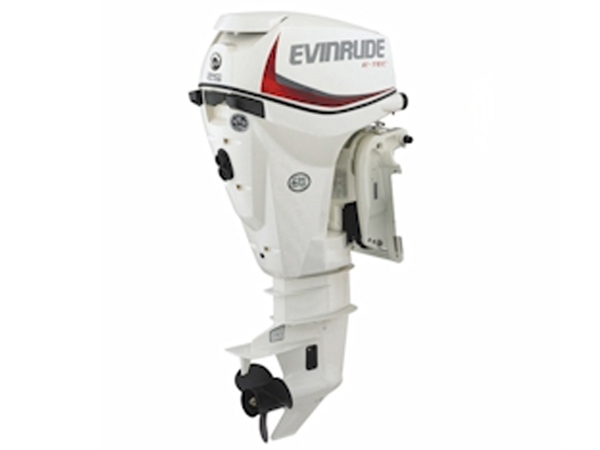 2017 Evinrude 25 HP E25DPSL E-Tec Outboard Motor
