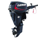 2018-Evinrude-E-TEC-30-HP-E30DGTL-Outboard-Motor.jpg