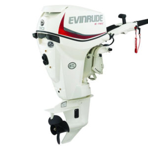 2018 Evinrude E-TEC 30 HP E30DRSL Outboard Motor