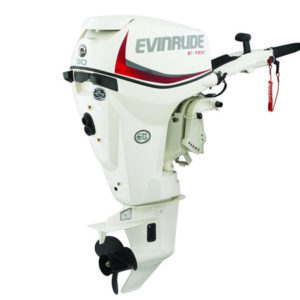 2018 Evinrude E-TEC 30 HP E30DTSL Outboard Motor