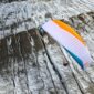Advance PI BI Paraglider