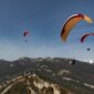 Gin Avid – sports XC paraglider (EN B)