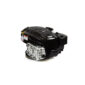 Briggs & Stratton 125P02-0012-F1 Vertical Engine