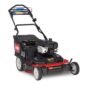 NEW Toro Personal Pace TimeMaster 30 In. Mower